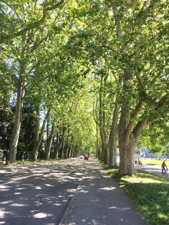Annecy Center 2 Steps From The Lake Cozy And Renovated! 外观 照片
