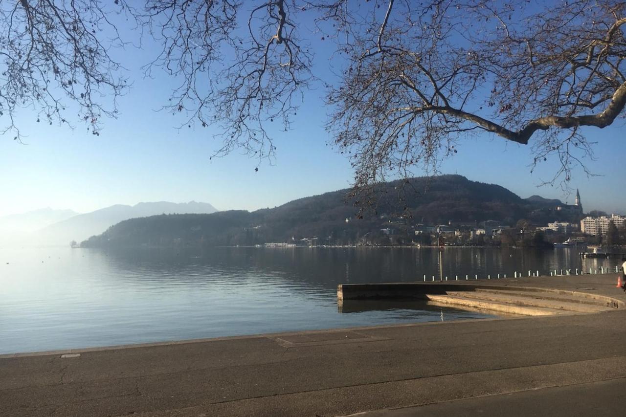 Annecy Center 2 Steps From The Lake Cozy And Renovated! 外观 照片